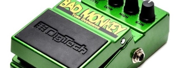 Bad Monkey