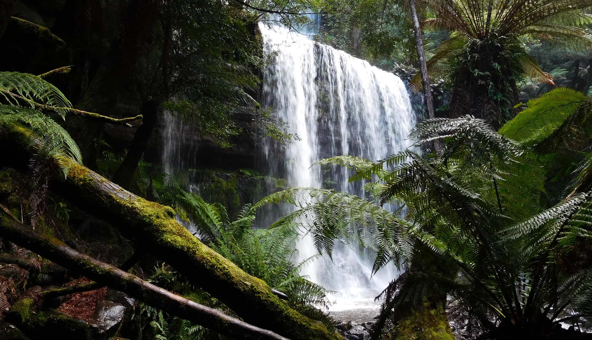 Waterfall Tasmania